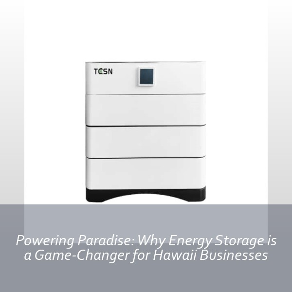 Powering Paradise: Why Energy Storage is a Game-Changer for Hawaii Businesses